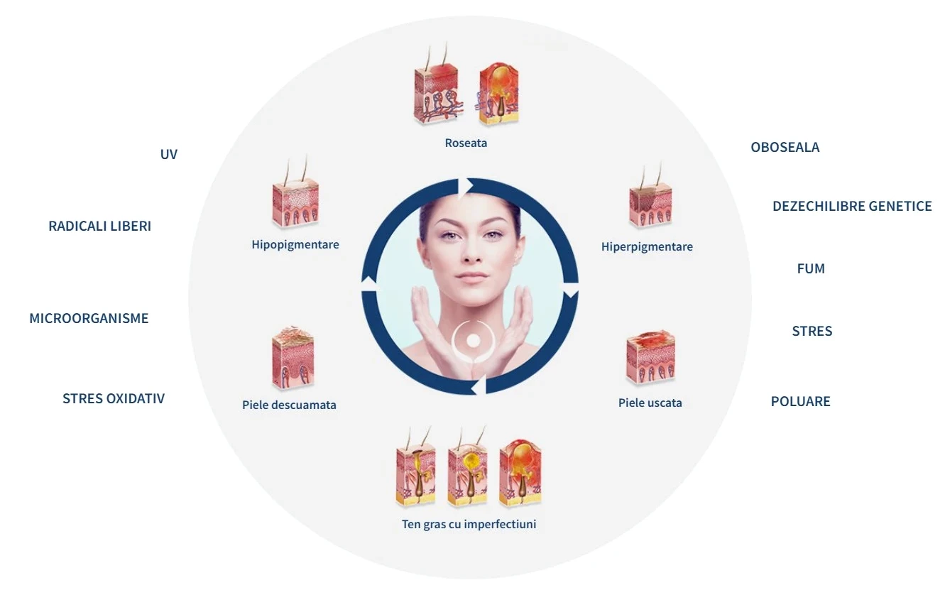 ISISPHARMA Solutiile noastre